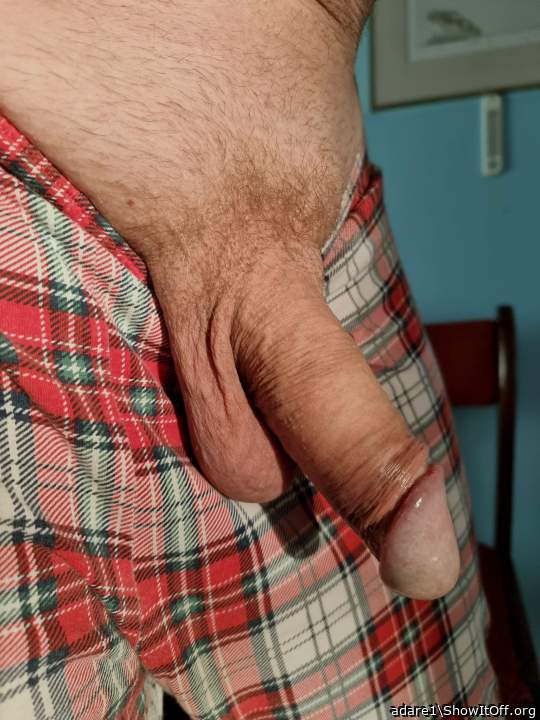 Adult image from adare1