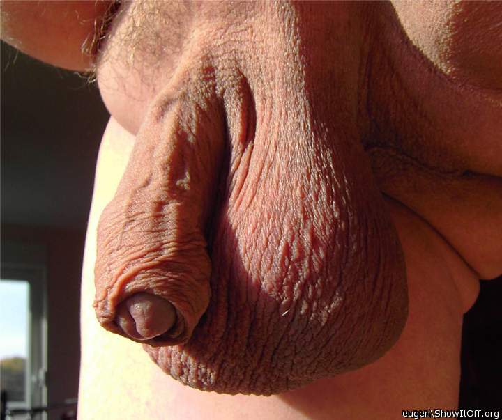 Adult image from eugen