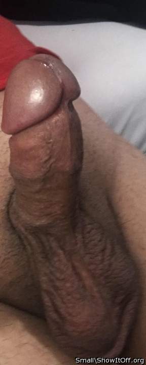 Adult image from Small