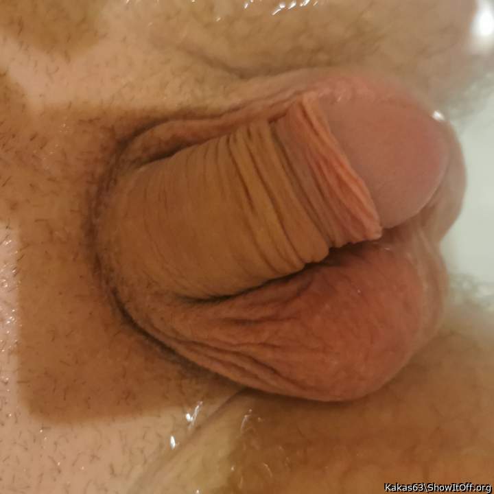 Adult image from Kakas63