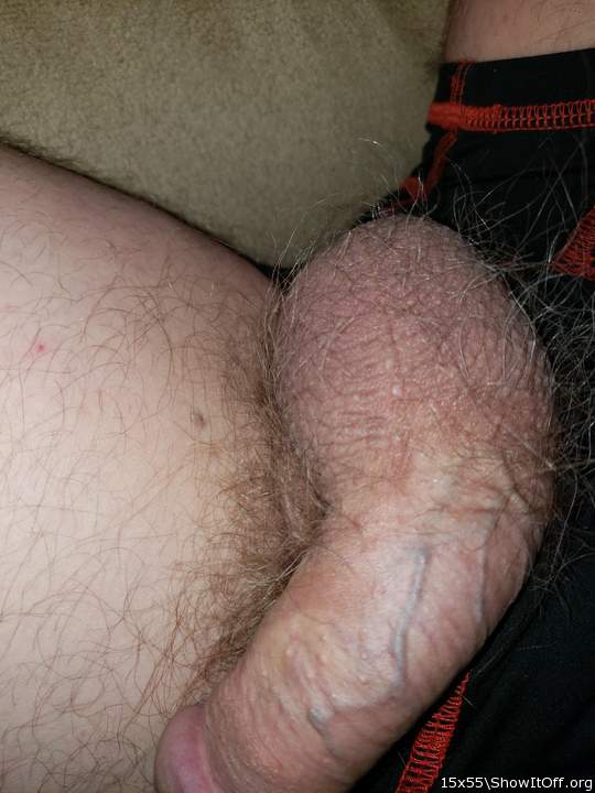 Adult image from 15x55