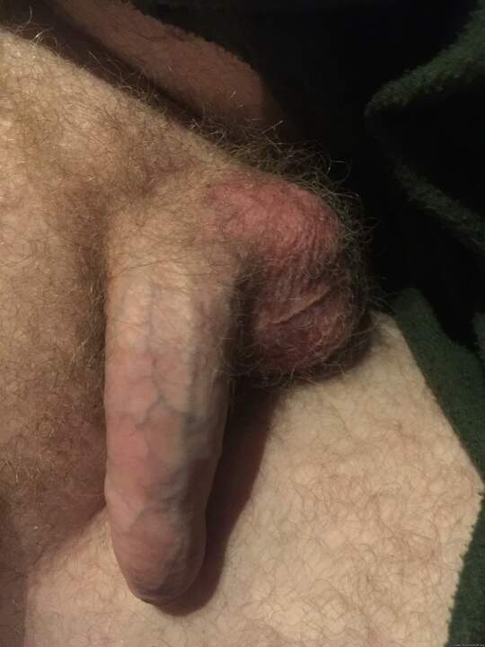 Adult image from peter79