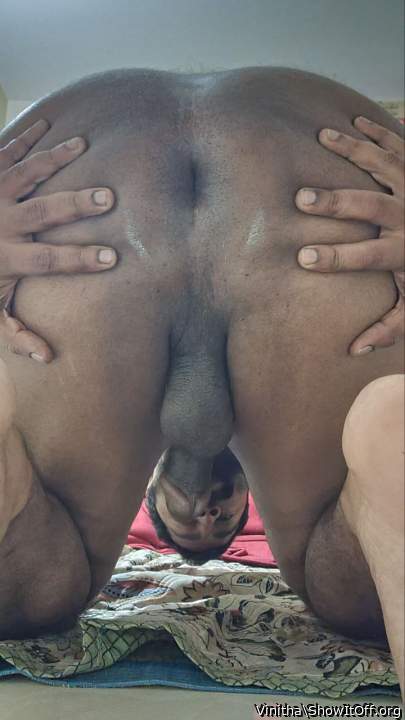 Adult image from Vinitha