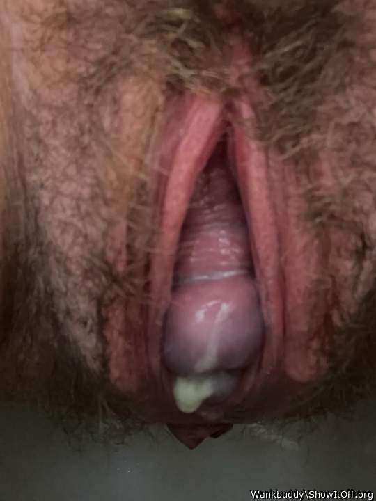 Adult image from Fatslut
