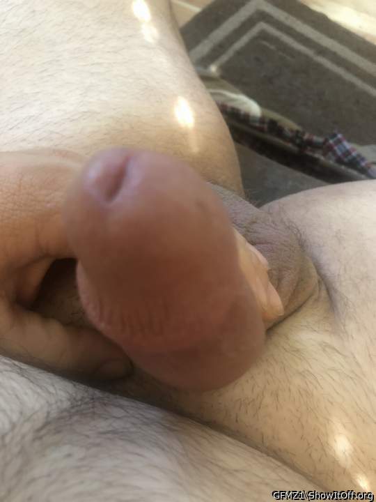 Adult image from GFMZ1