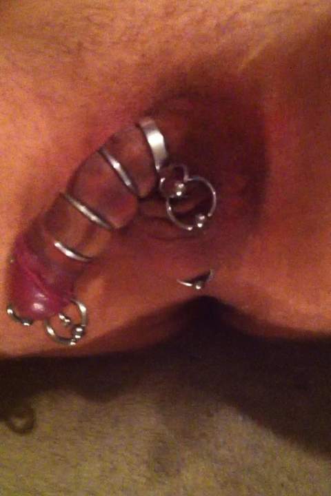 my cock