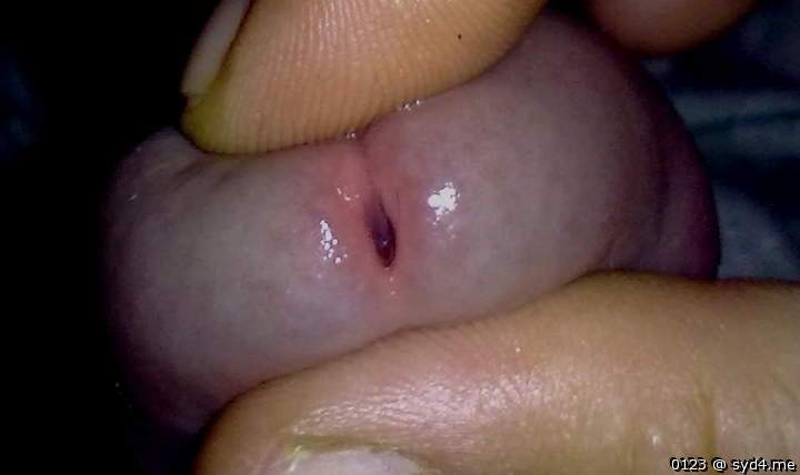 Adult image from 0123