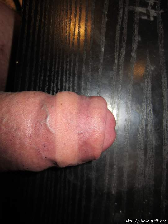 Adult image from Pit66