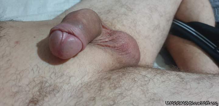 Adult image from MYCOCK66