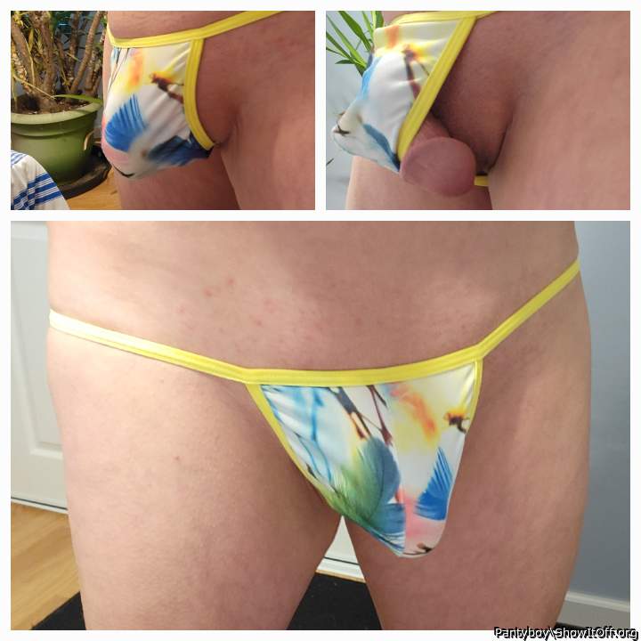 Adult image from Pantyboy