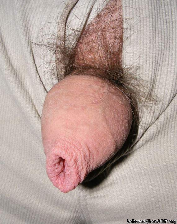 Adult image from balticsea