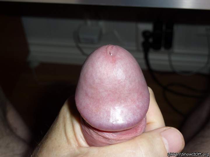 Adult image from pikken