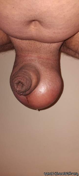Adult image from sanok