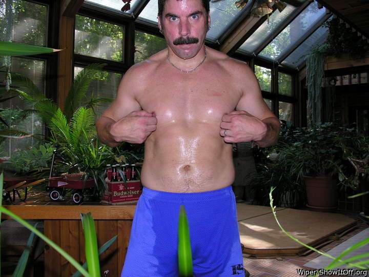 Adult image from Wiper