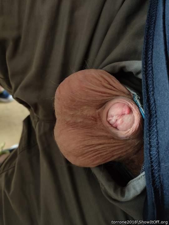 Adult image from torrone2018