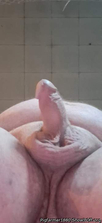 Adult image from Pigfarmer1980