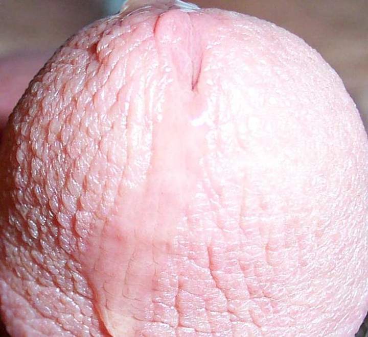 Adult image from lilsoftee