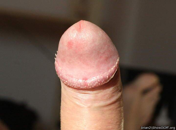 My Cockhead