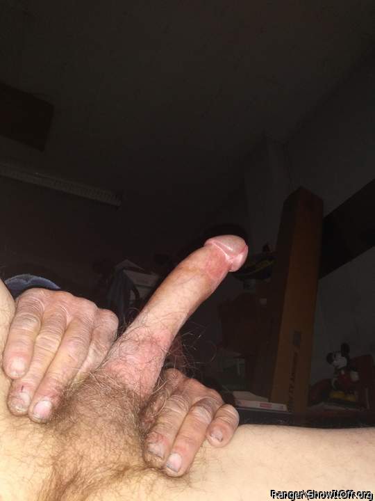 Adult image from Ranger