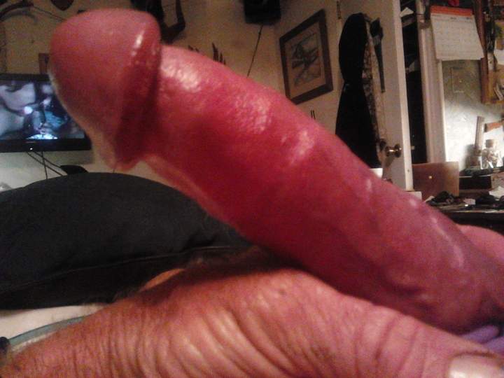 Adult image from fish4free