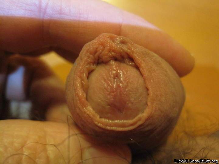 Adult image from Dick88