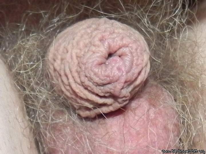 Adult image from dom-58