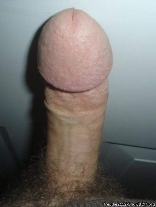 Adult image from freddie2112