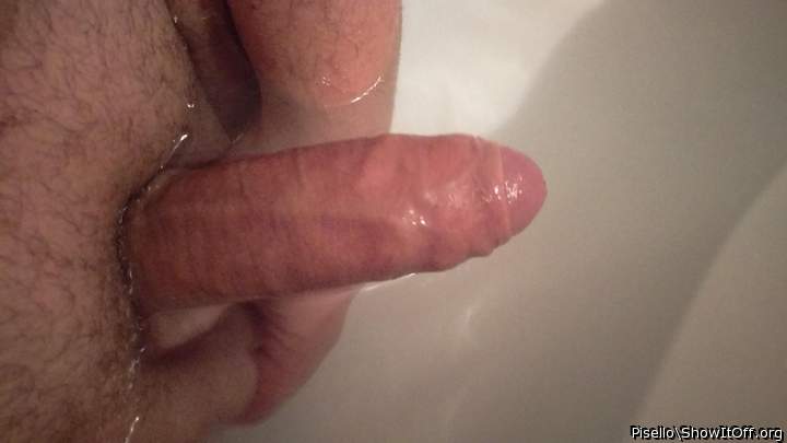 Adult image from pisello