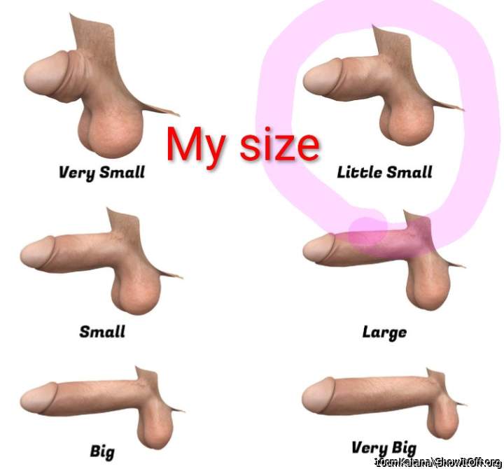 I reckon between large and big