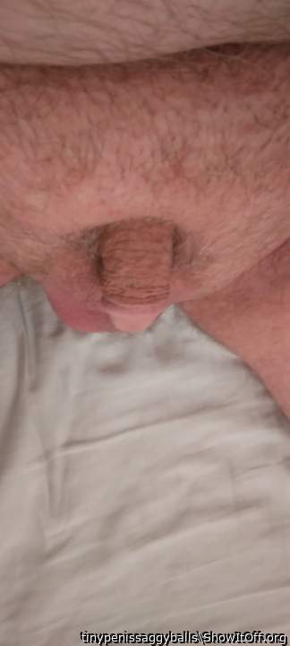 Adult image from tinypenissaggyballs