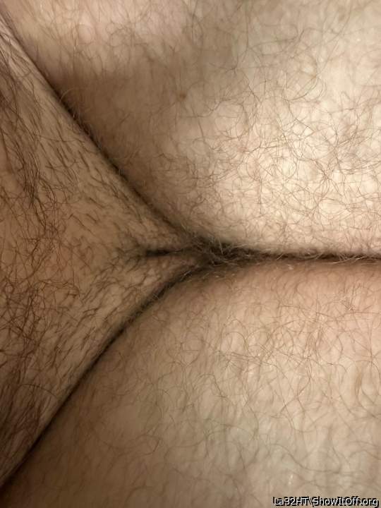 Adult image from La32HT