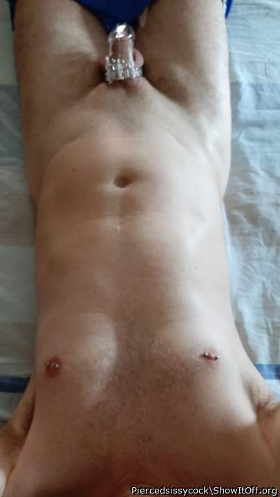 Adult image from Piercedsissycock