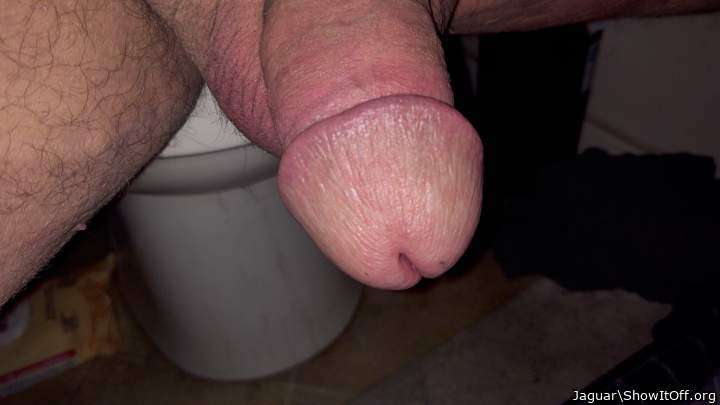 Adult image from Jaguar