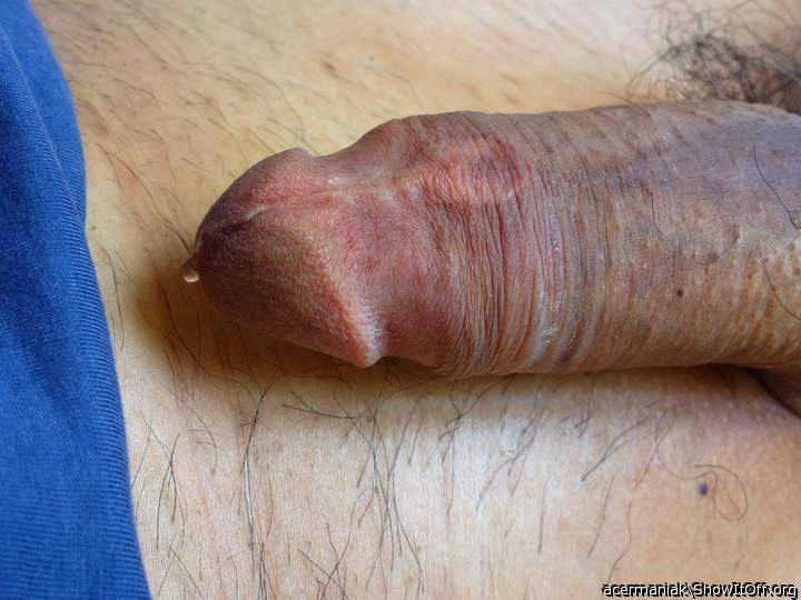 Adult image from porlokino