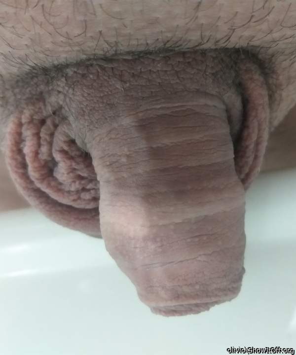 Adult image from olivio