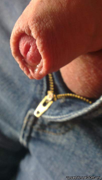 Adult image from covas