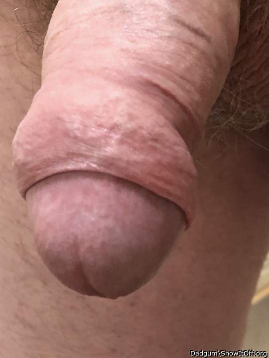 Adult image from Dadgum