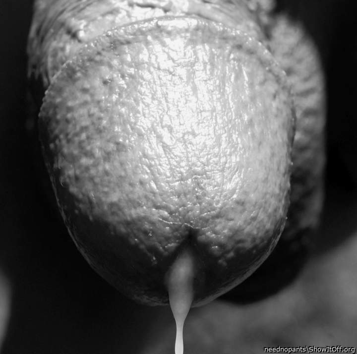 Adult image from neednopants