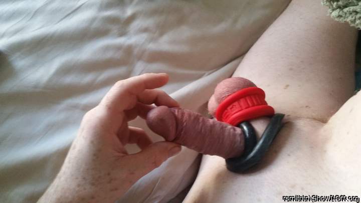 Adult image from rsmithtn