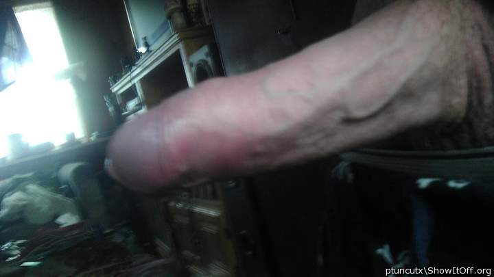 Adult image from ptuncutx
