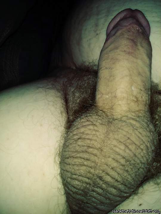 Adult image from hankthe2