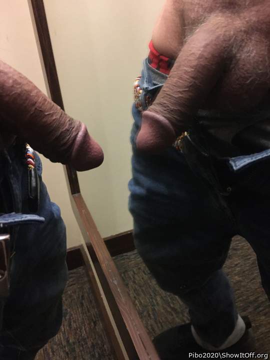 Adult image from Pibo2020