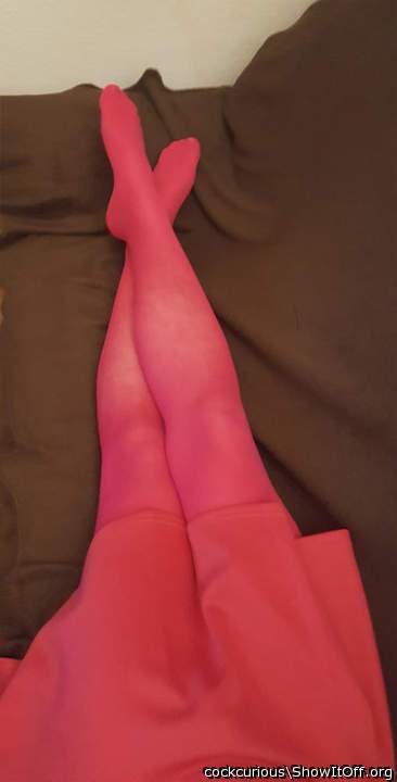 Adult image from CockCurious