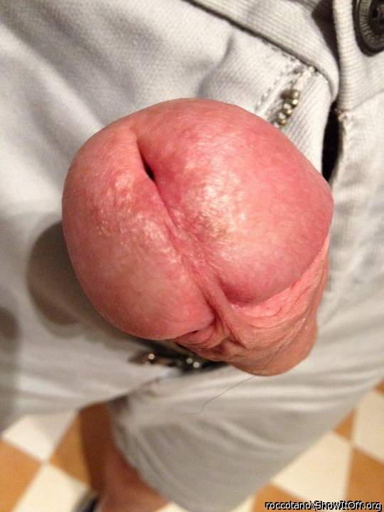 Adult image from roccotano