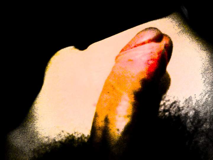 Adult image from Snake101