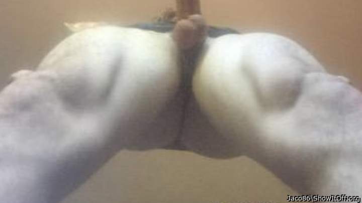 Adult image from Jaco86
