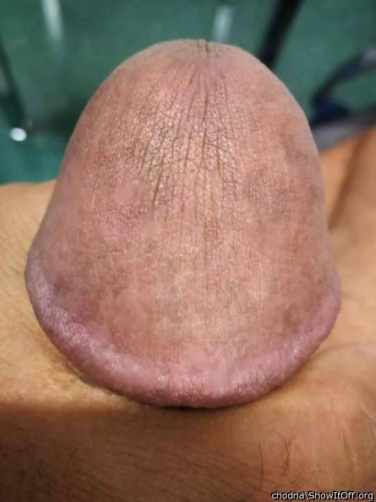 Adult image from chodna