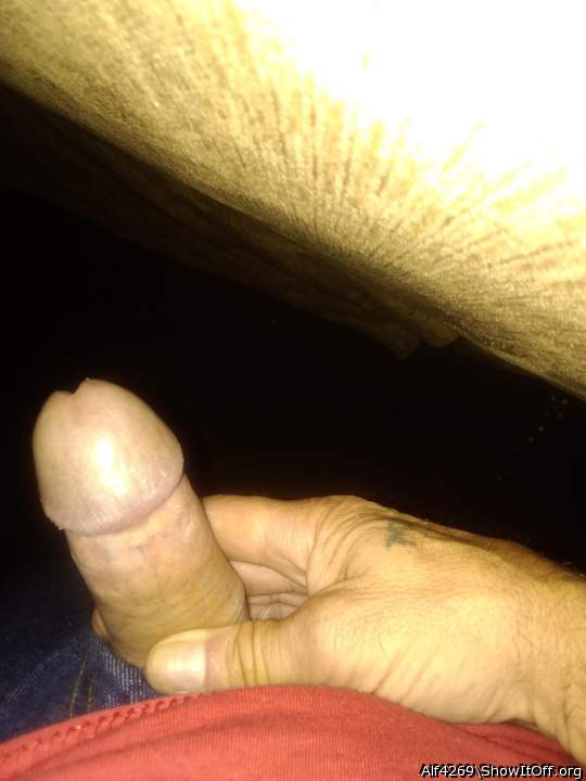 Adult image from Alf4269