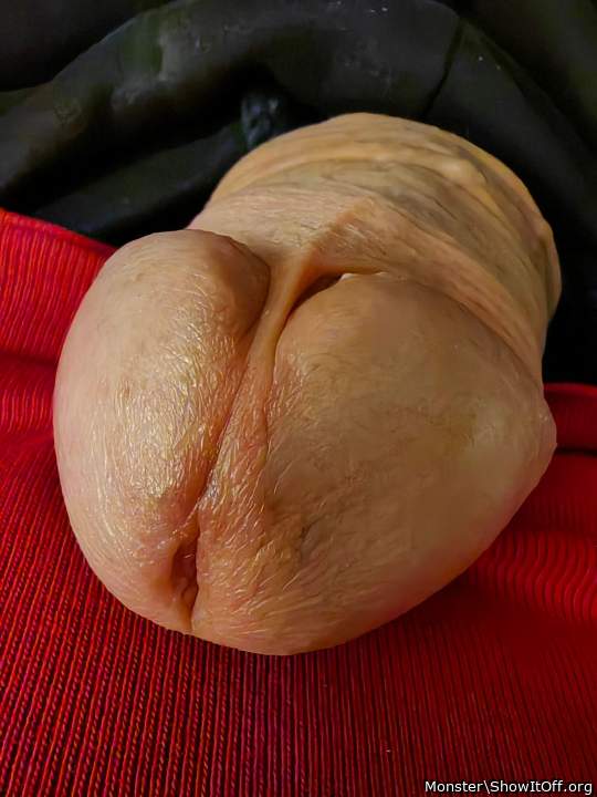 Lovely closeup  