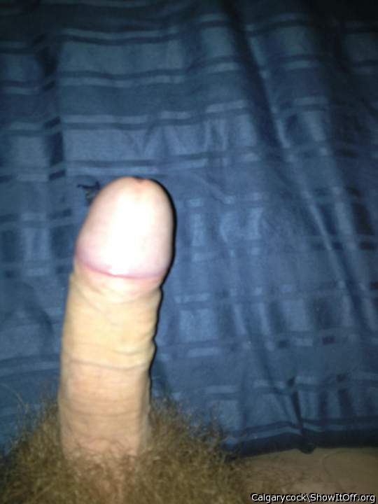 Adult image from Calgarycock
